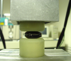 Compression Test Setup