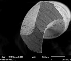 Sample from Jeol JSM-6010LA Scanning Electron Microscope (SEM)