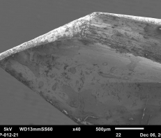 Sample from Jeol JSM-6010LA Scanning Electron Microscope (SEM)