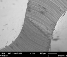 Sample from Jeol JSM-6010LA Scanning Electron Microscope (SEM)