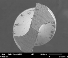 Sample from Jeol JSM-6010LA Scanning Electron Microscope (SEM)