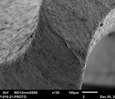 Sample from Jeol JSM-6010LA Scanning Electron Microscope (SEM)