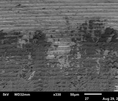 Sample from Jeol JSM-6010LA Scanning Electron Microscope (SEM)