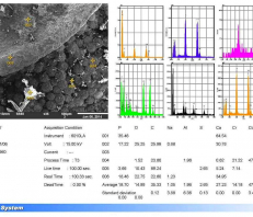 EDS Sample from Jeol InTouchScope JSM-6010LA Scanning Electron Microscope