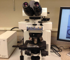 Nikon Eclipse E600POL Microscope