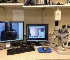 Zeiss Stereomicroscope (pictured with Nikon DXM1200 Digital Eclipse Camera System)