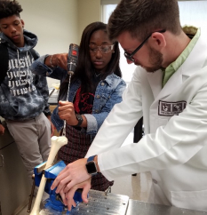Mechanical testing demonstration
